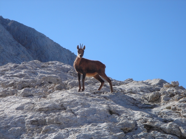  Picos de Europa 